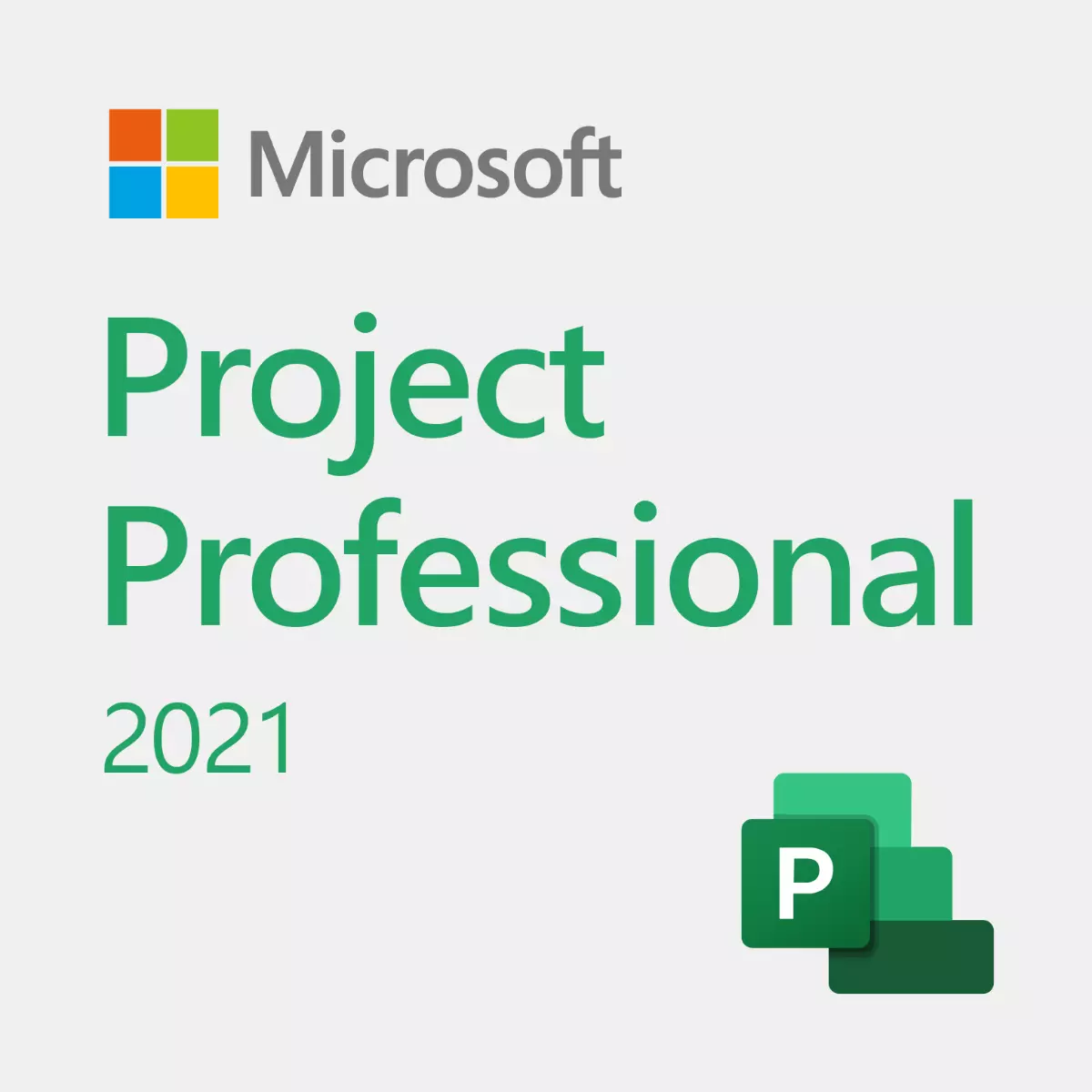 Project Professional 2021